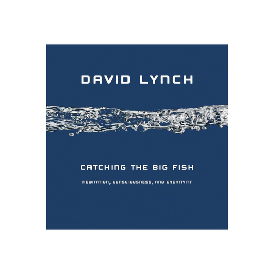 Catching the Big Fish: Meditation, Consciousness, and Creativity